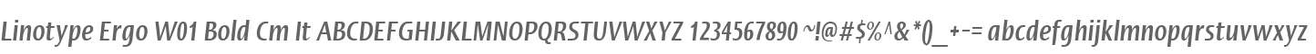 Linotype Ergo W01 Bold Cm It