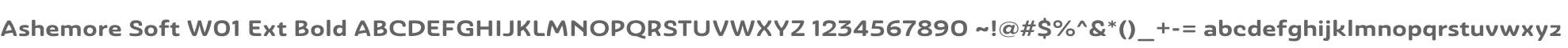 Ashemore Soft W01 Ext Bold