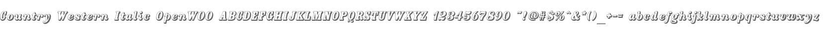 Country Western Italic OpenW00