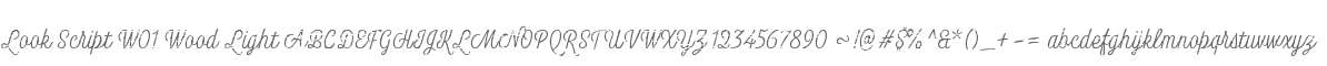 Look Script W01 Wood Light