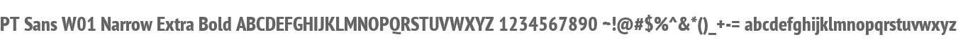 PT Sans W01 Narrow Extra Bold