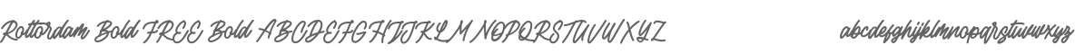 Rottordam Bold FREE Bold