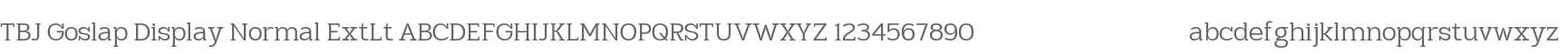 TBJ Goslap ExtLt Display