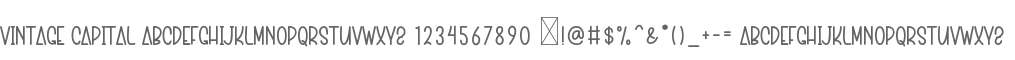 Vintage Capital