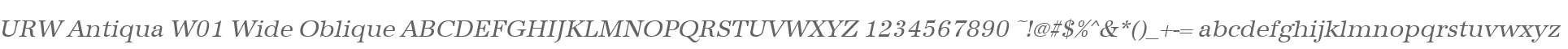 URW Antiqua W01 Wide Oblique