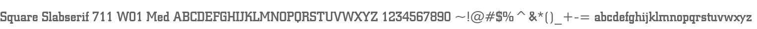 Square Slabserif 711 W01 Med