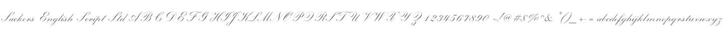 Sackers English Script Std