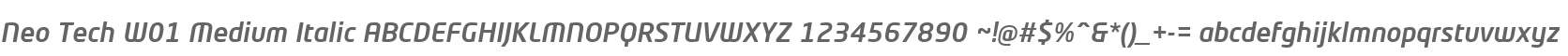 Neo Tech W01 Medium Italic