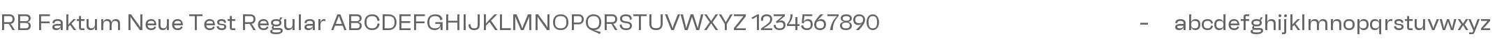 RB Faktum Neue Test