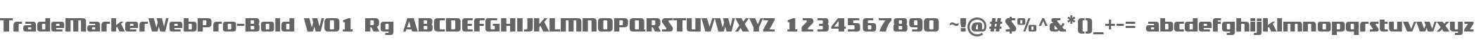 TradeMarkerWebPro-Bold W01 Rg