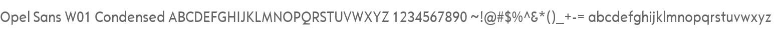 Opel Sans W01 Condensed