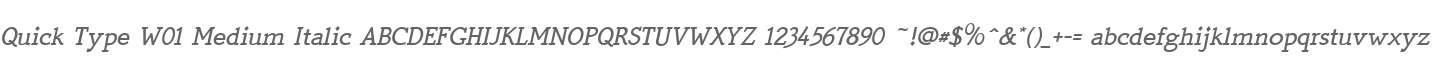 Quick Type W01 Medium Italic