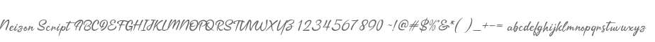 Neizon Script