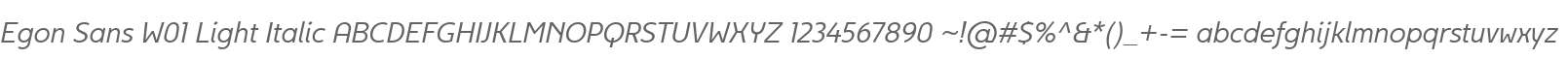 Egon Sans W01 Light Italic