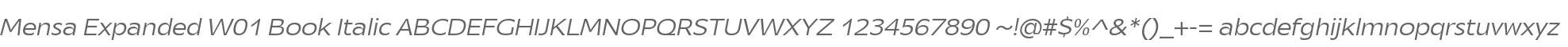 Mensa Expanded W01 Book Italic