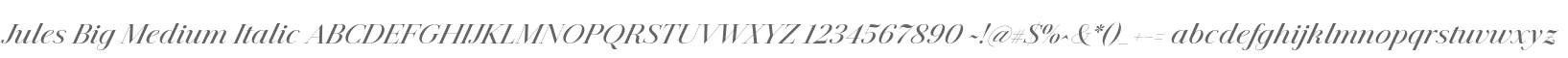Jules Big Medium Italic