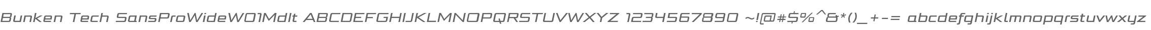 Bunken Tech SansProWideW01MdIt