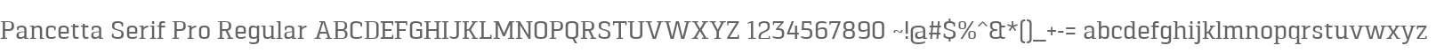 Pancetta Serif Pro Regular