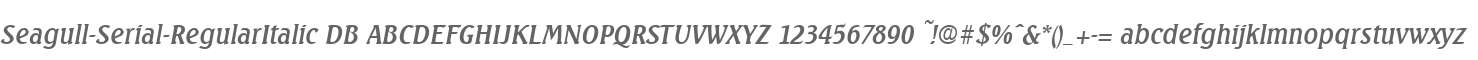 Seagull-Serial-RegularItalic DB