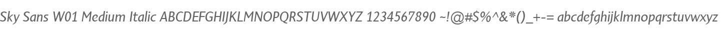 Sky Sans W01 Medium Italic