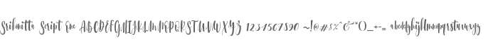 Srikonitta Script One