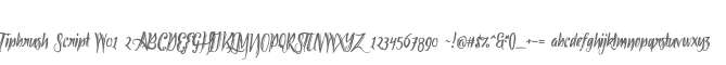 Tipbrush Script W01 2