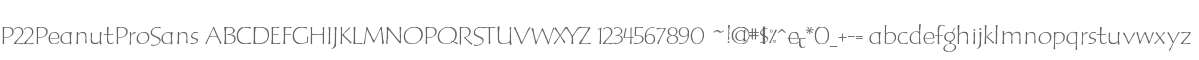 P22PeanutProSans