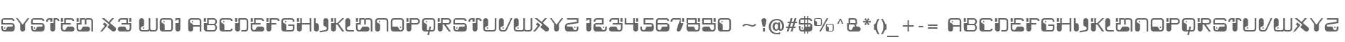System X3 W01