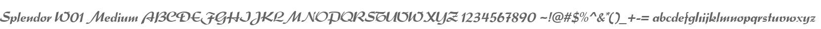 Splendor W01 Medium