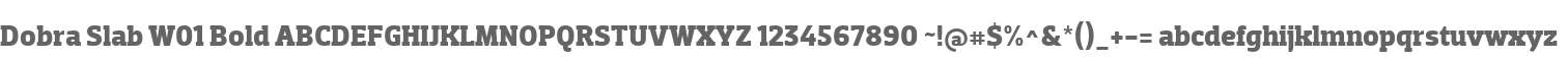 Dobra Slab W01 Bold