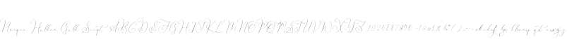 Narque Holden Gold Script