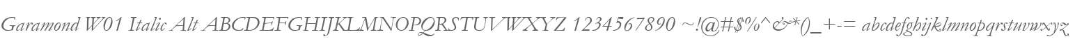 Garamond W01 Italic Alt