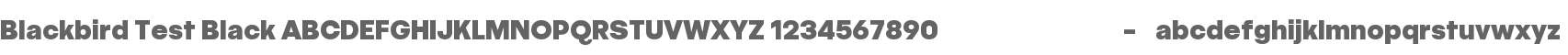 Blackbird Test Black
