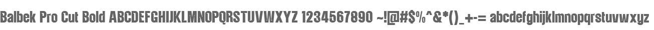 Balbek Pro Cut