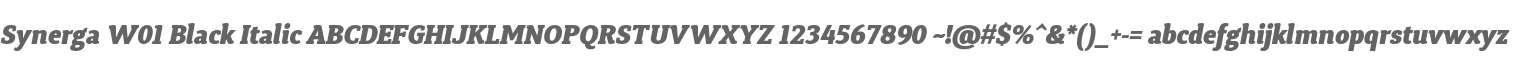 Synerga W01 Black Italic