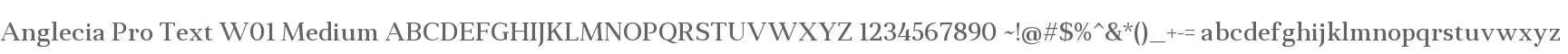 Anglecia Pro Text W01 Medium