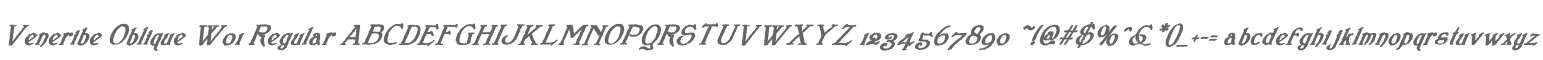 Veneribe Oblique W01 Regular