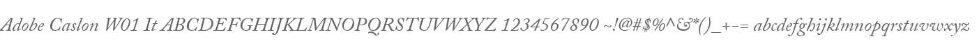 Adobe Caslon W01 It