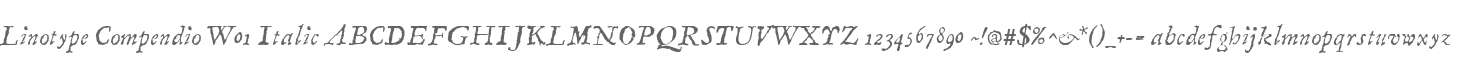 Linotype Compendio W01 Italic