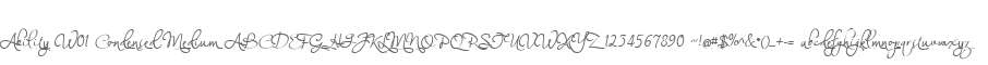 Ability W01 Condensed Medium