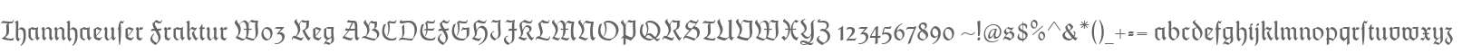 Thannhaeuser Fraktur W03 Reg