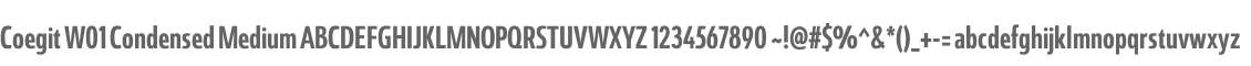 Coegit W01 Condensed Medium