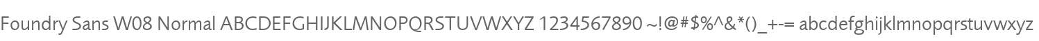 Foundry Sans W08 Normal
