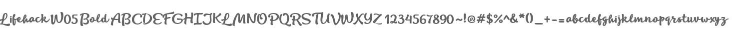 Lifehack W05 Bold
