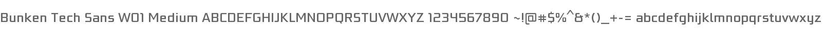 Bunken Tech Sans W01 Medium