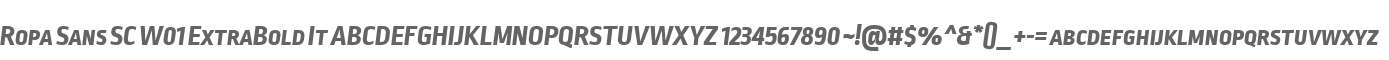 Ropa Sans SC W01 ExtraBold It