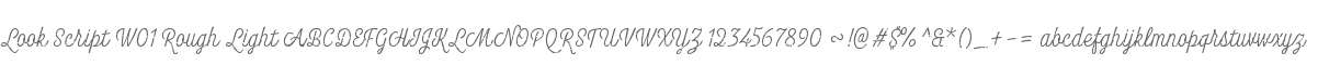 Look Script W01 Rough Light