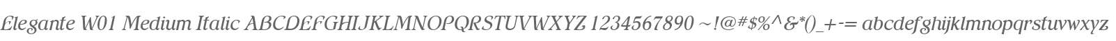 Elegante W01 Medium Italic