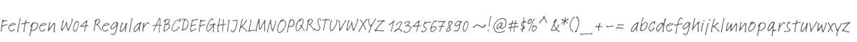 Feltpen W04 Regular