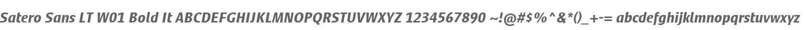 Satero Sans LT W01 Bold It